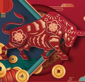 2021，加油干就是了！